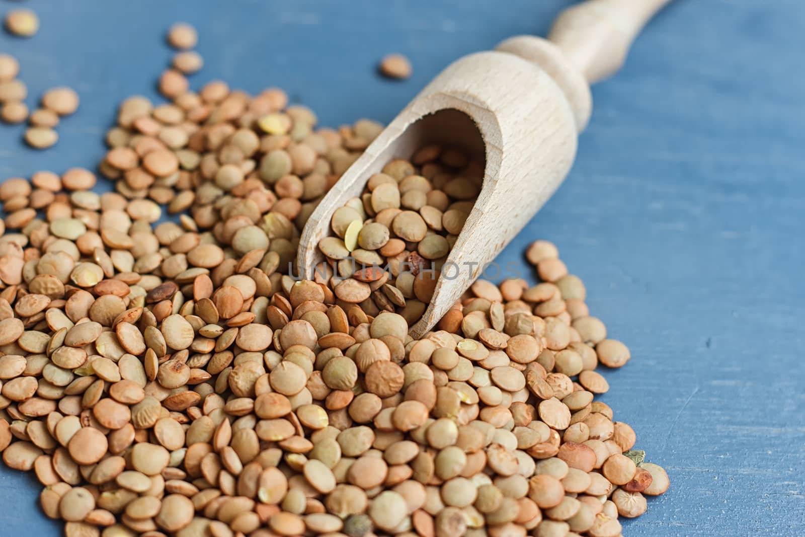 raw lentils on a wooden spoon on a blue background