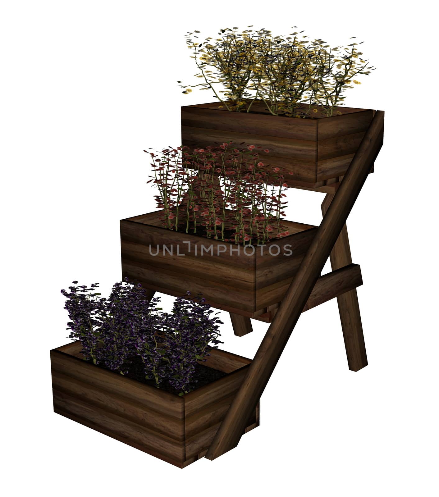 Plant and flowers in boxes isolated in white background - 3D render