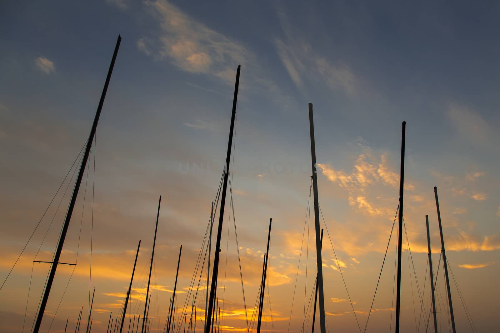 view of trees converging boats at sunset