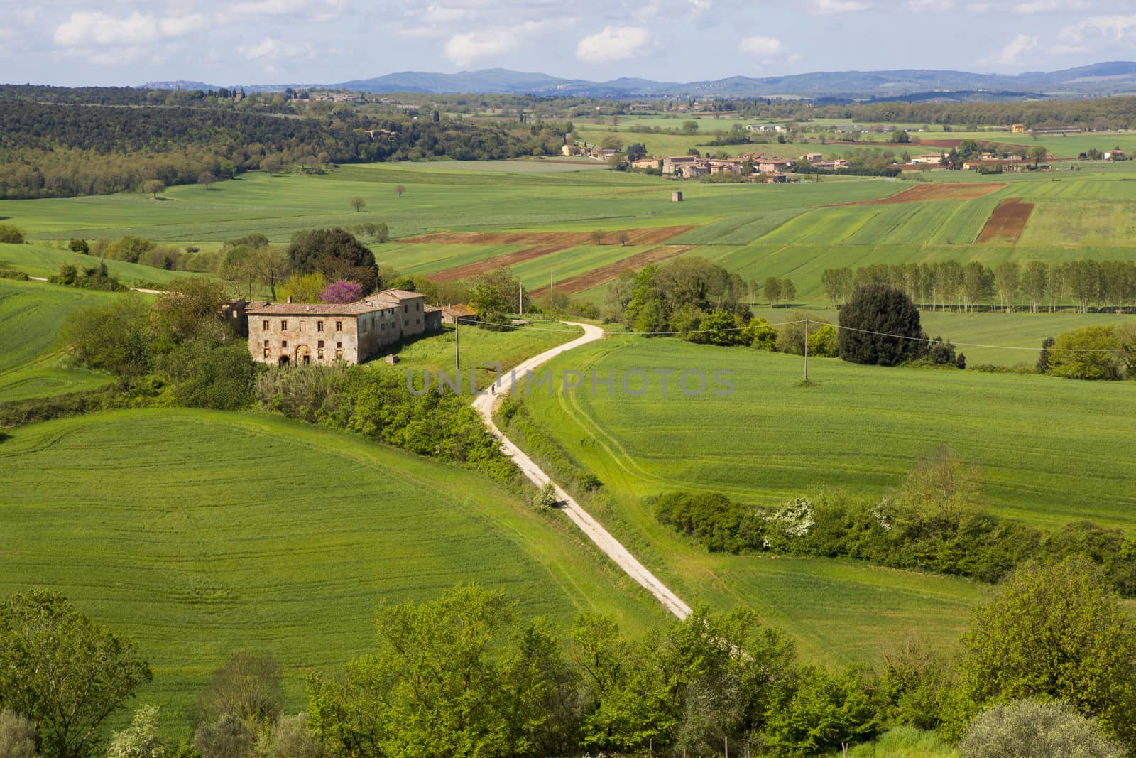 View of a Tuscan hill landscape with green fields and a farm in the background