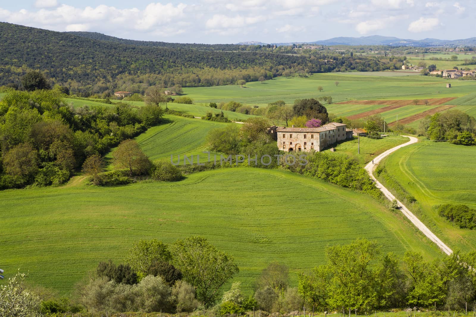 View of a Tuscan hill landscape with green fields and a farm in the background