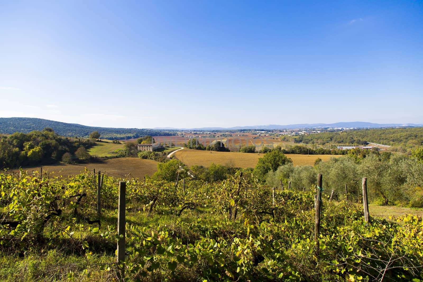 Tuscany hills by nicobernieri