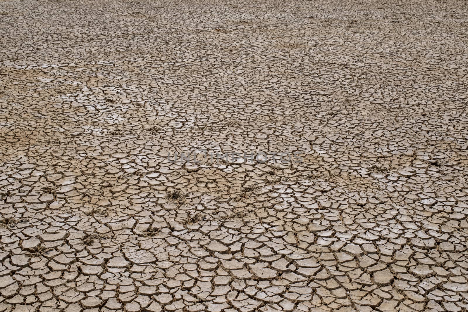 Crack soil on dry season, Global warming / cracked dried mud / D by chanwity