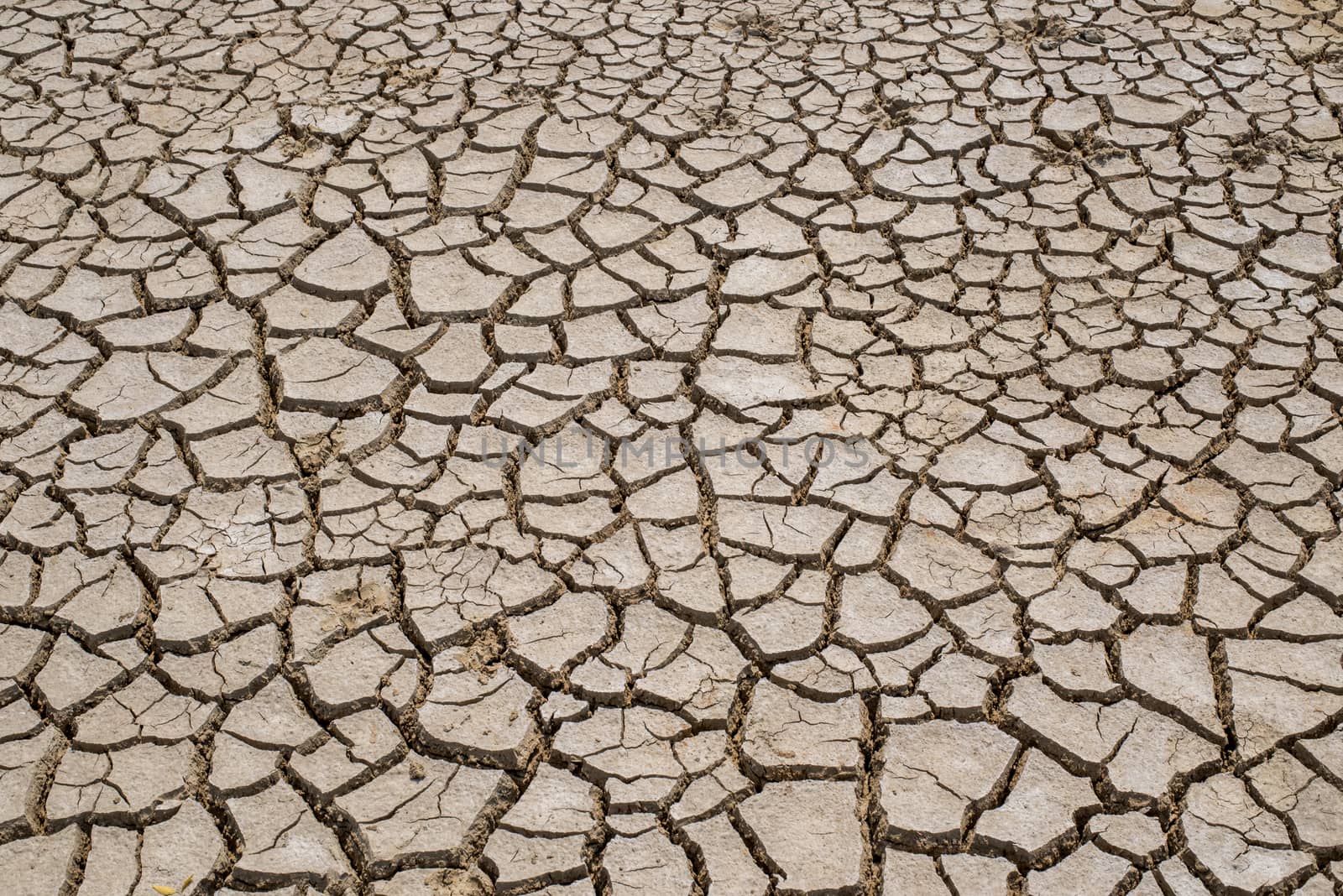 Crack soil on dry season, Global warming / cracked dried mud / D by chanwity