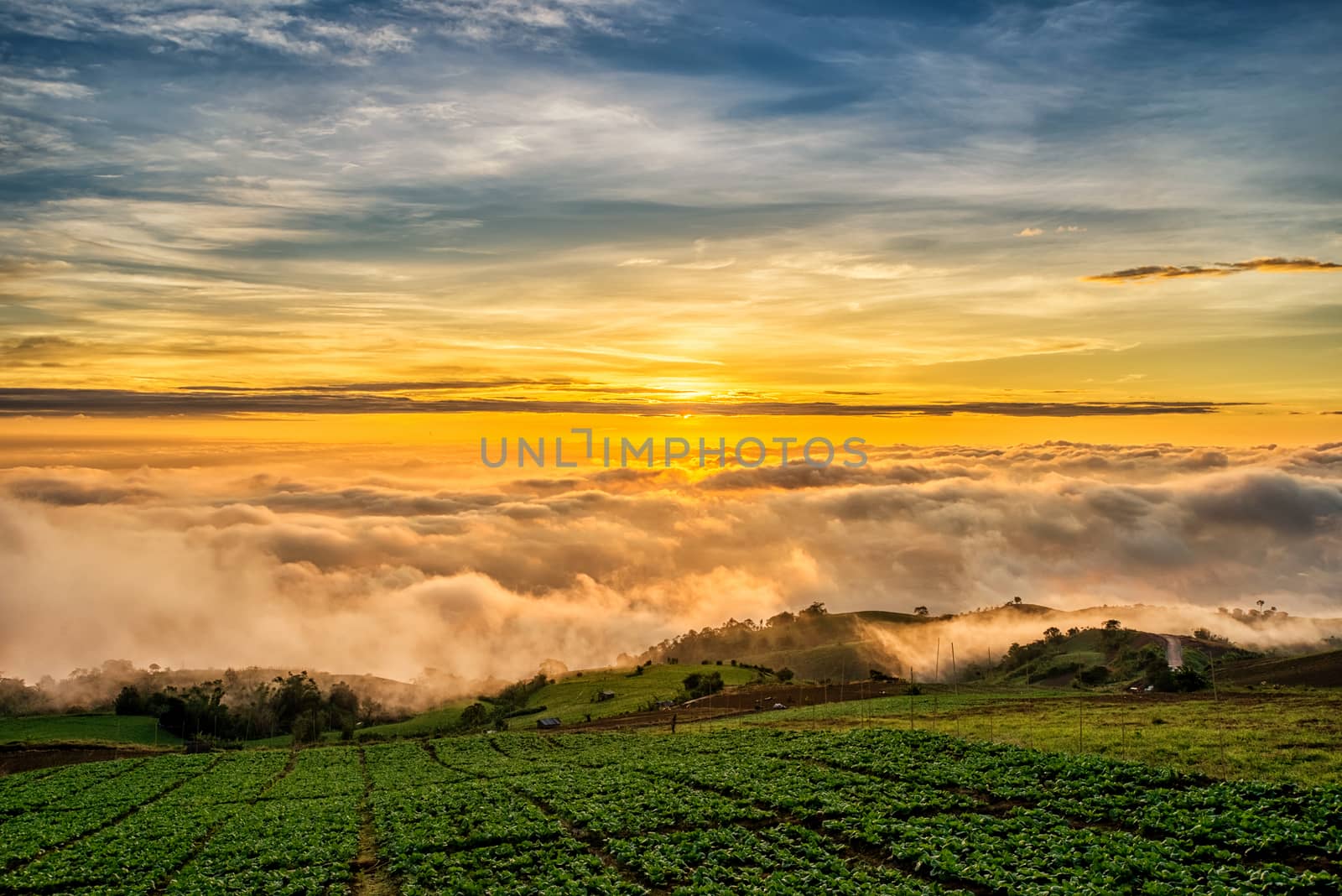 Sunrise over mountain at Phu Tab Berk,THAILAND by chanwity