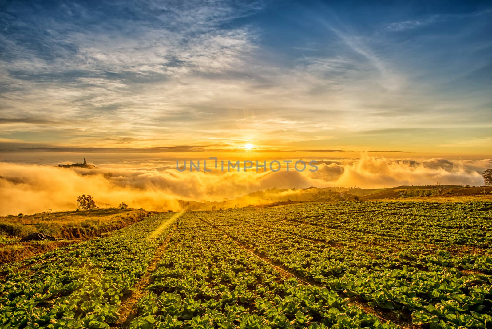 Sunrise over mountain at Phu Tab Berk,THAILAND