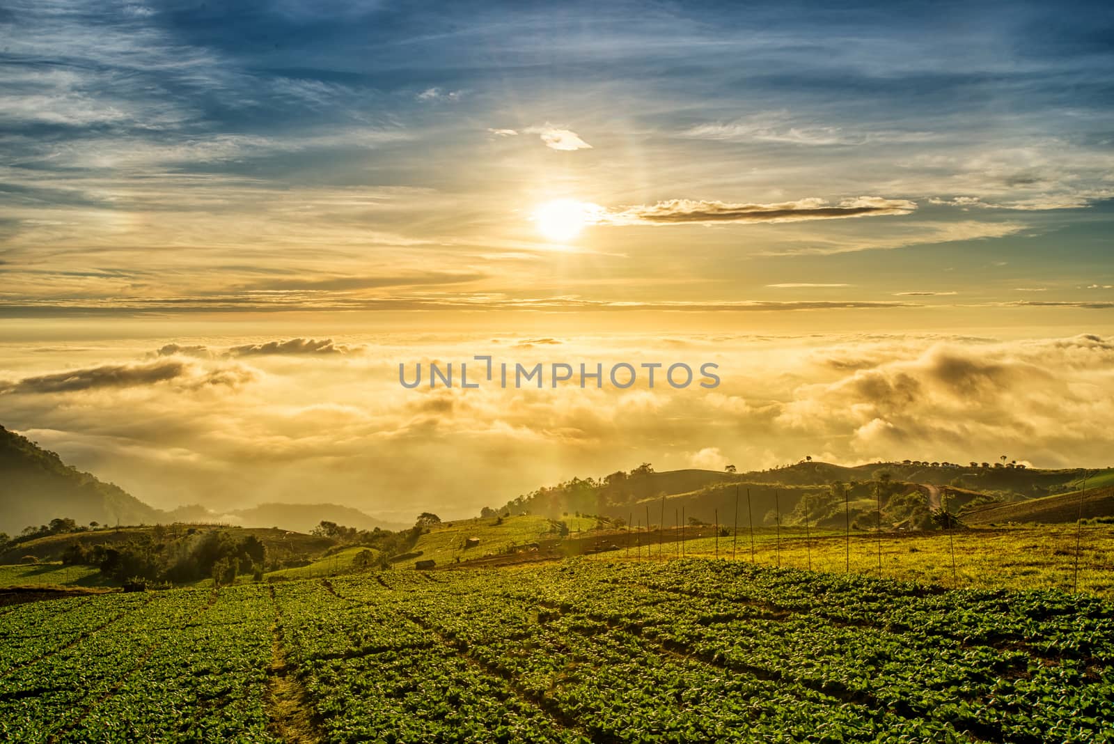 Sunrise over mountain at Phu Tab Berk,THAILAND by chanwity
