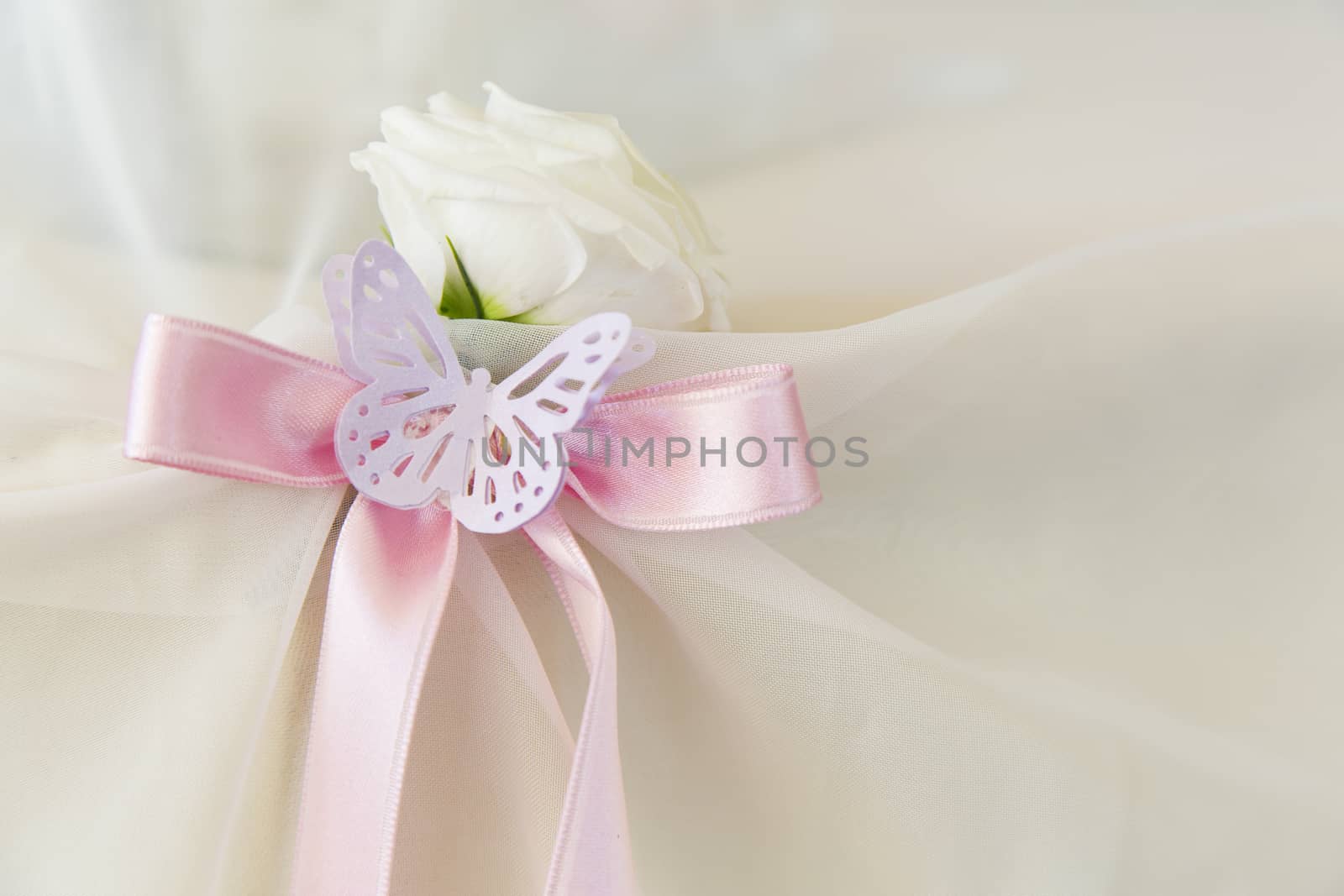 White rose with pink ribbon and paper butterfly
