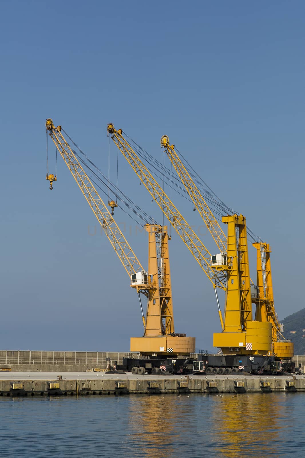 View of three cranes in a commerciial harbor