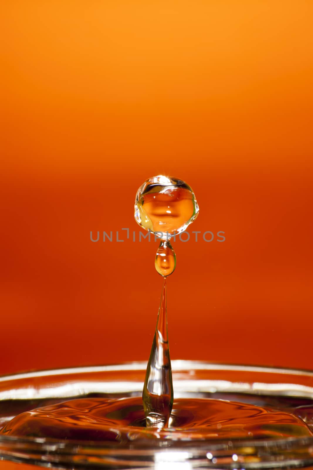 Drop of water by nicobernieri