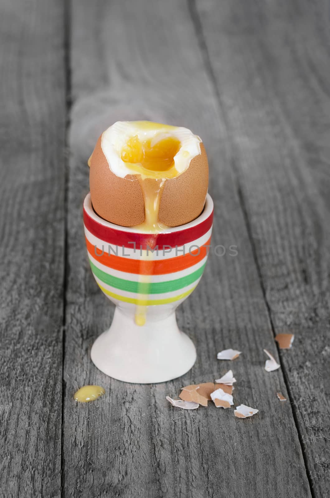 The soft-boiled egg in the stand, on a gray wooden background