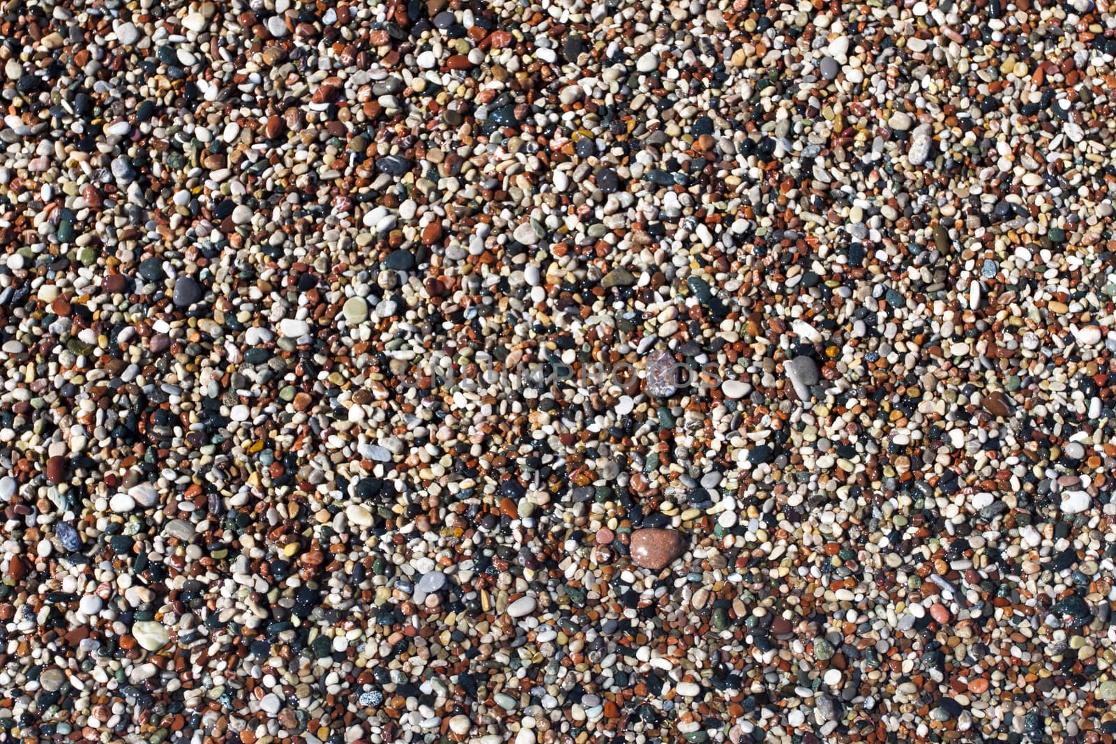 Pebbles by nicobernieri