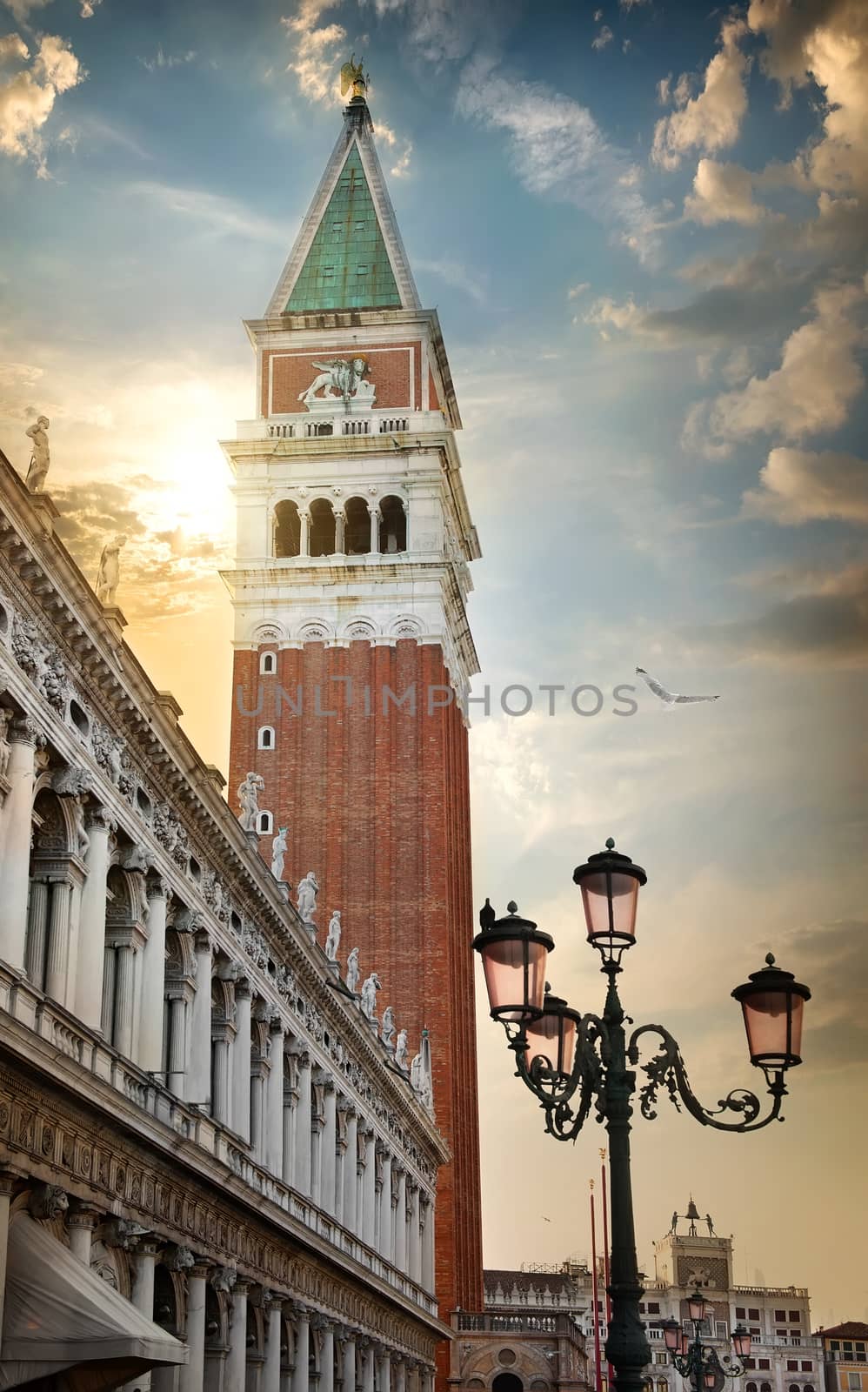 Piazza San Marco by Givaga