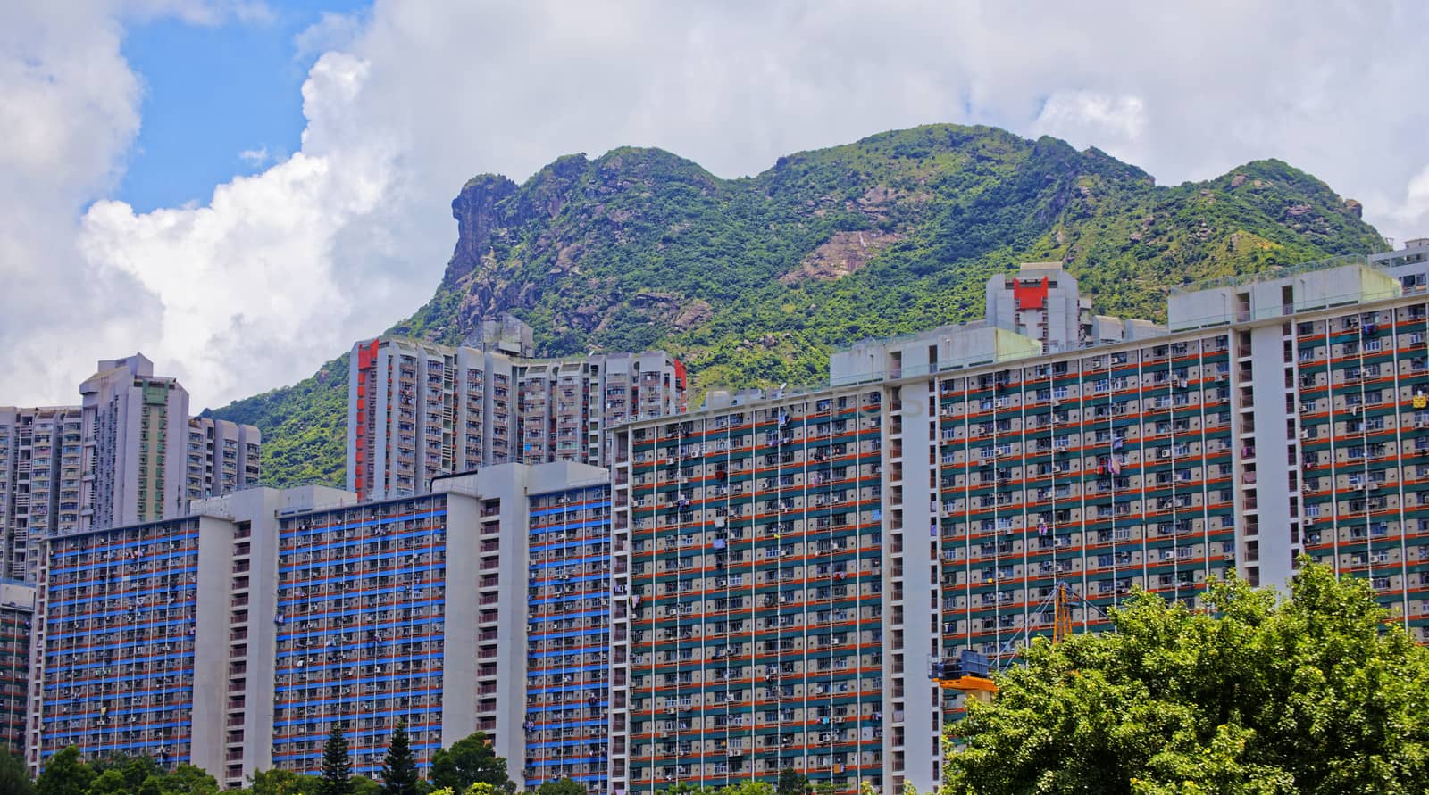 hong kong public estate with landmark lion rock at day