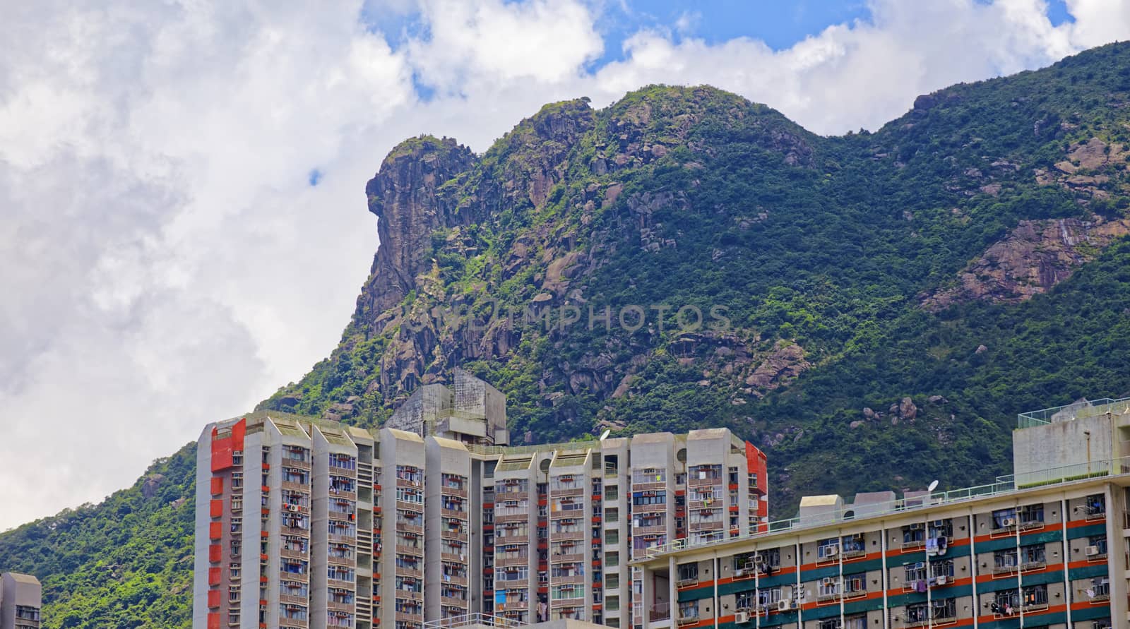 hong kong public estate with landmark lion rock at day