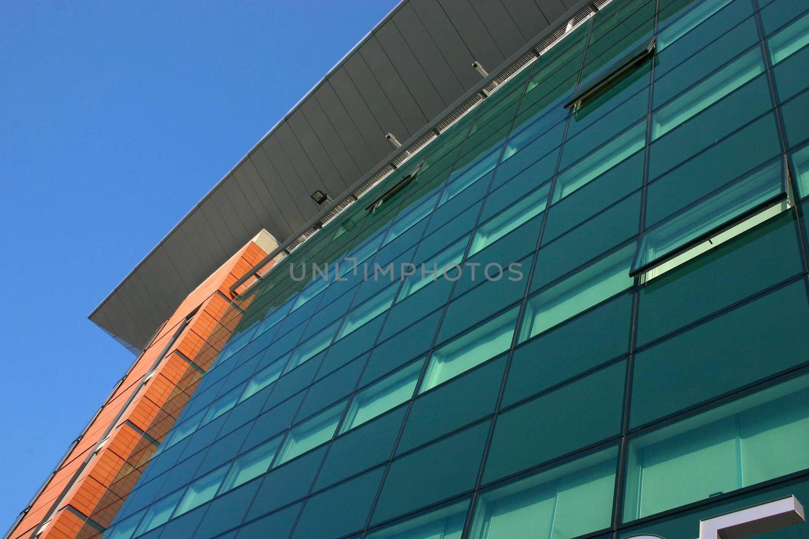 Glass Facade of a Modern Building
