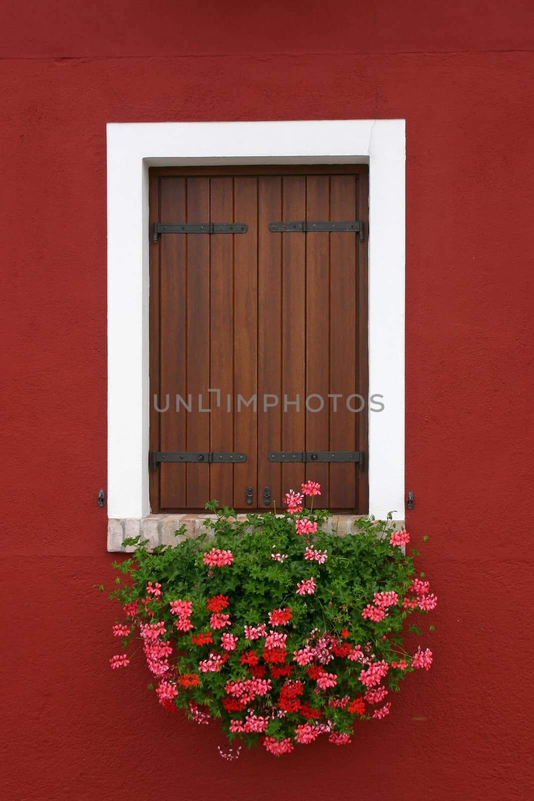 Window of one of the colored houses in Burano - Venice - Italy