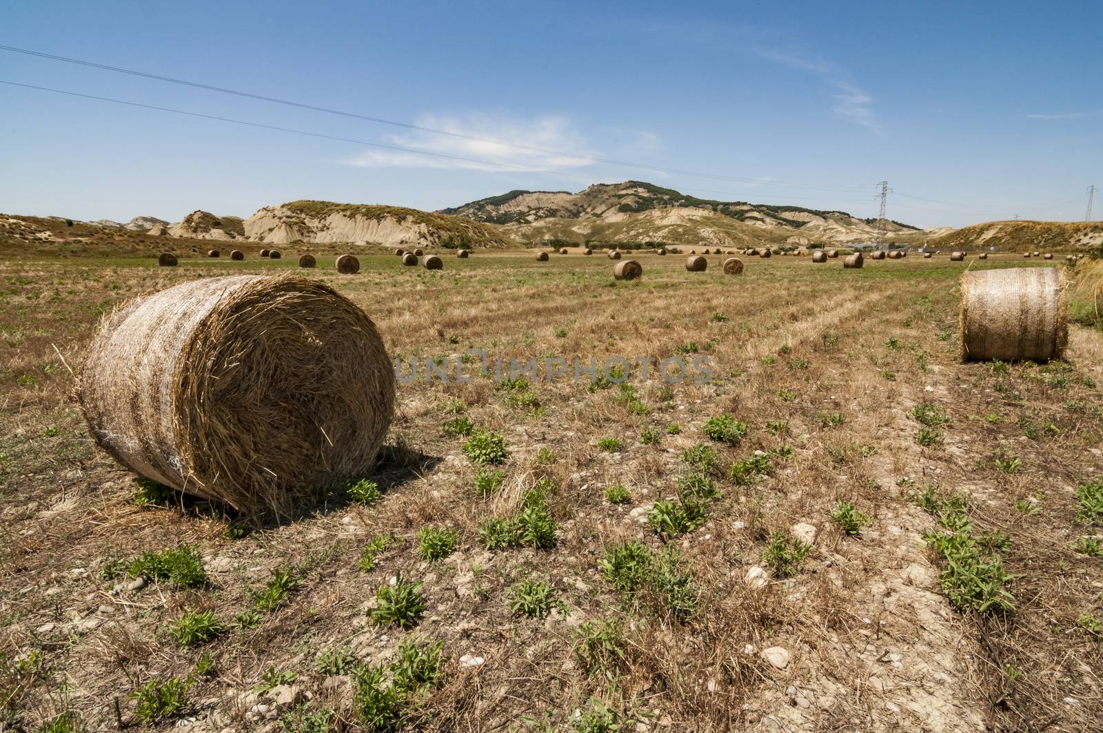 Meadow of hay bales by edella