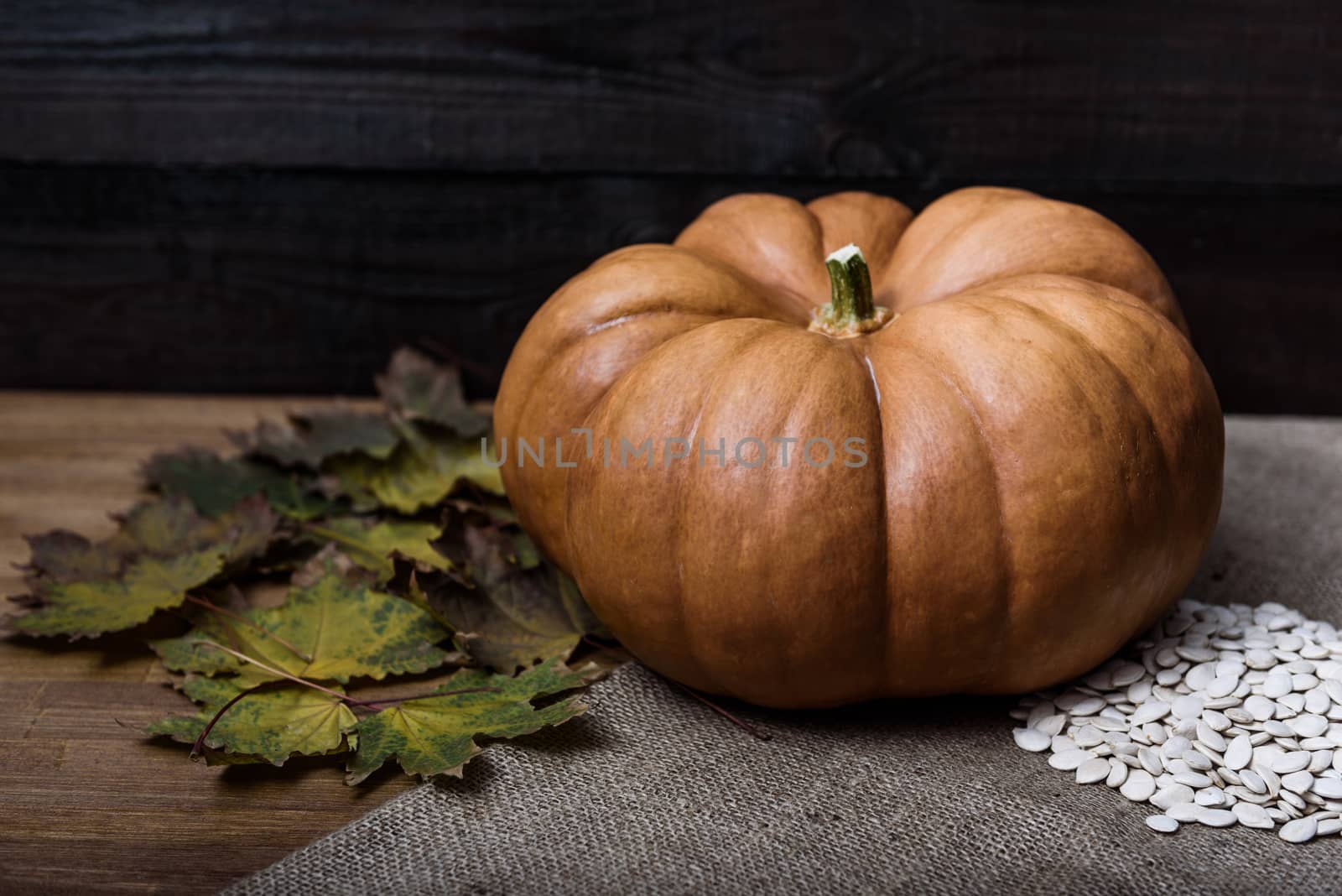 pumpkin lying on a wooden table with viburnum and seeds