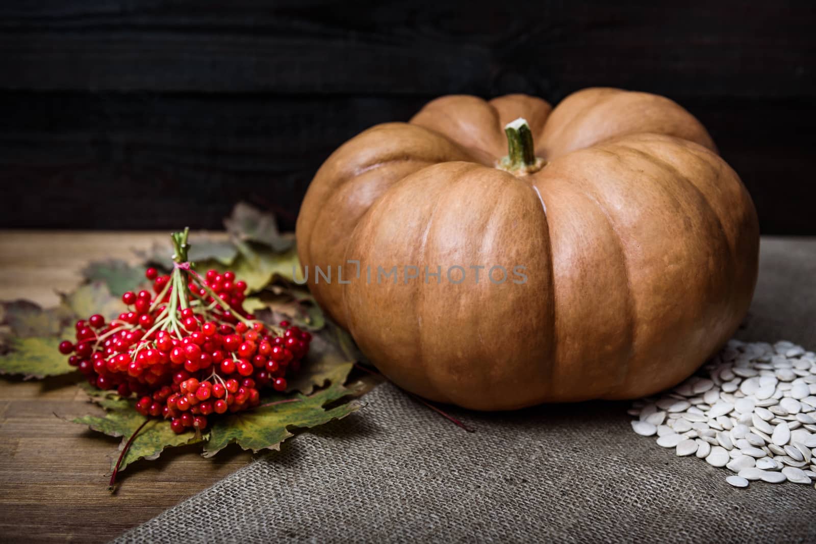 pumpkin lying on a wooden table with leaves, viburnum and seeds