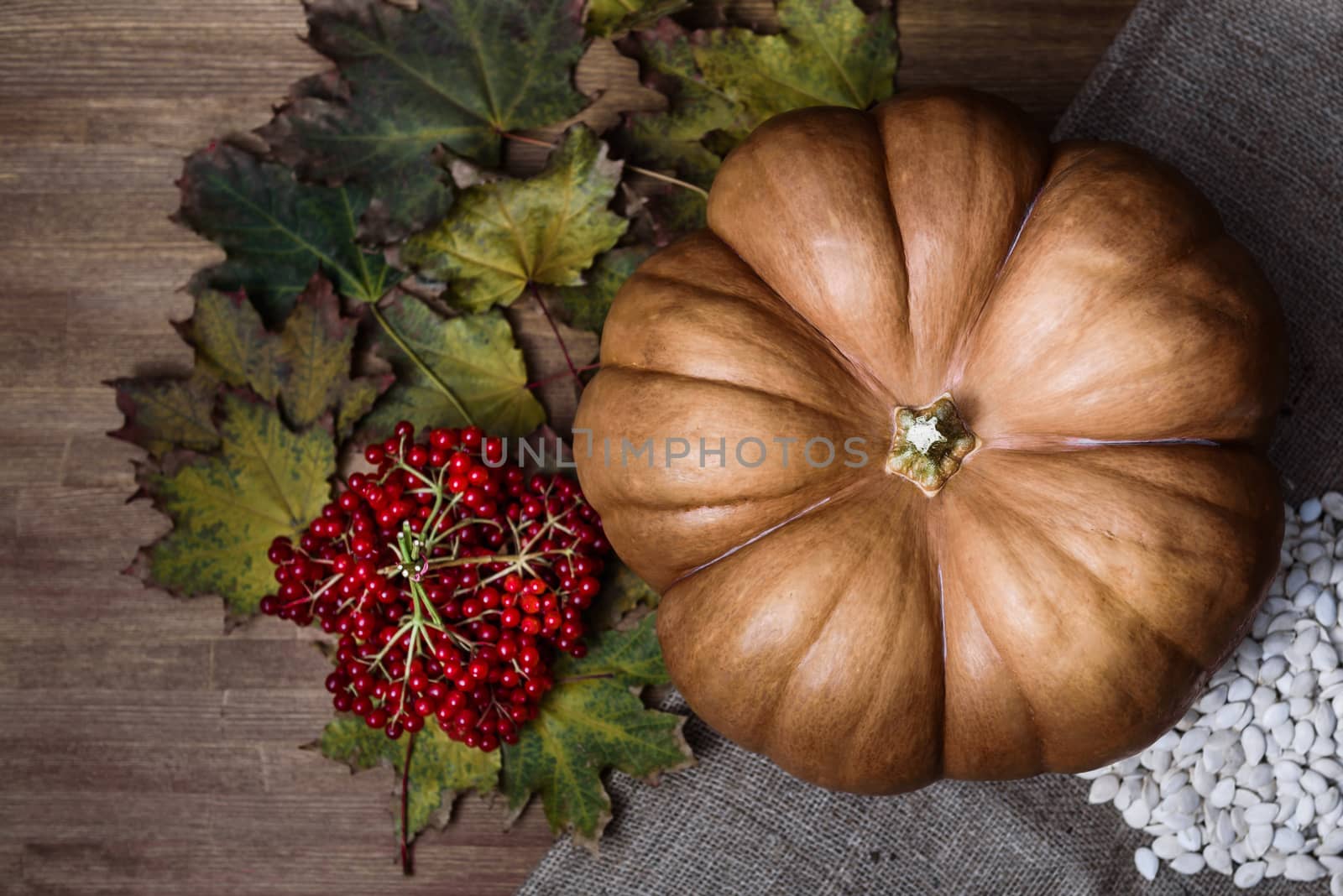 pumpkin lying on a wooden table with leaves, viburnum and seeds