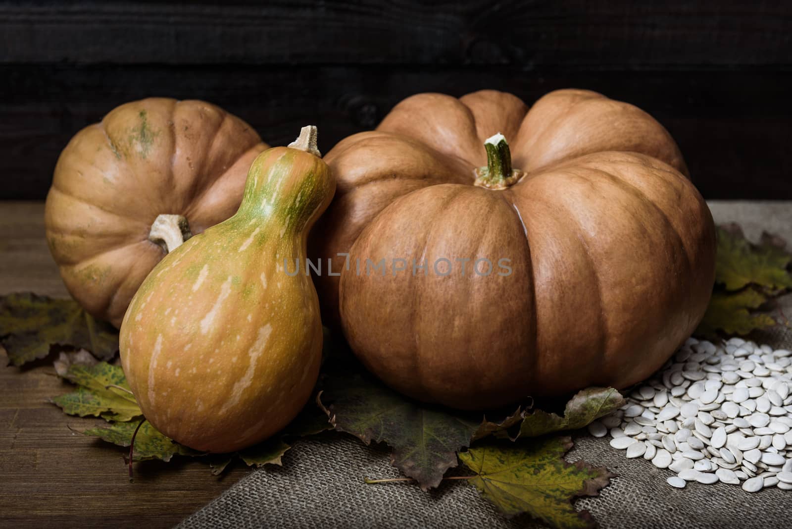 pumpkins lying on a wooden table with viburnum and seeds