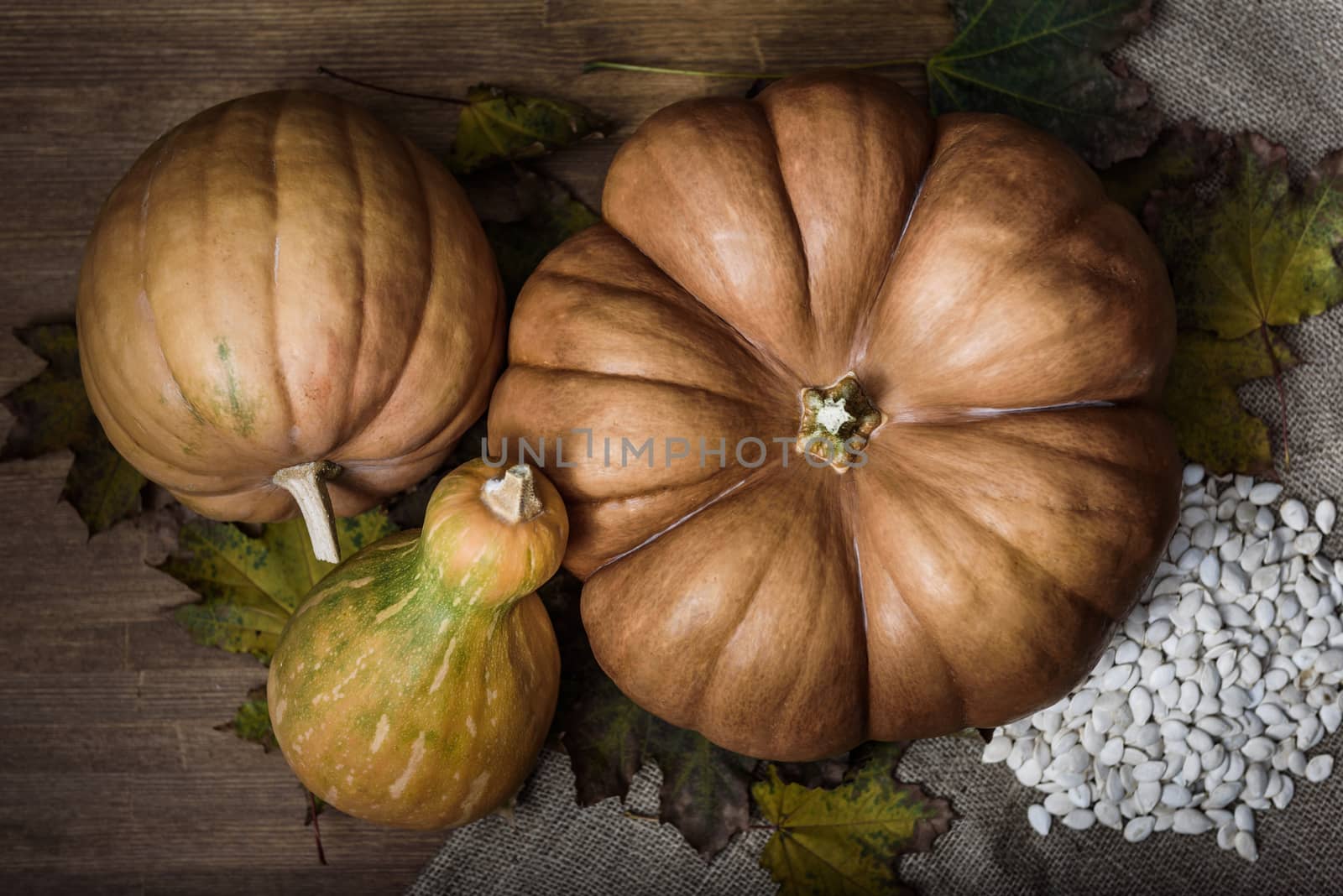 pumpkins lying on a wooden table by Andreua