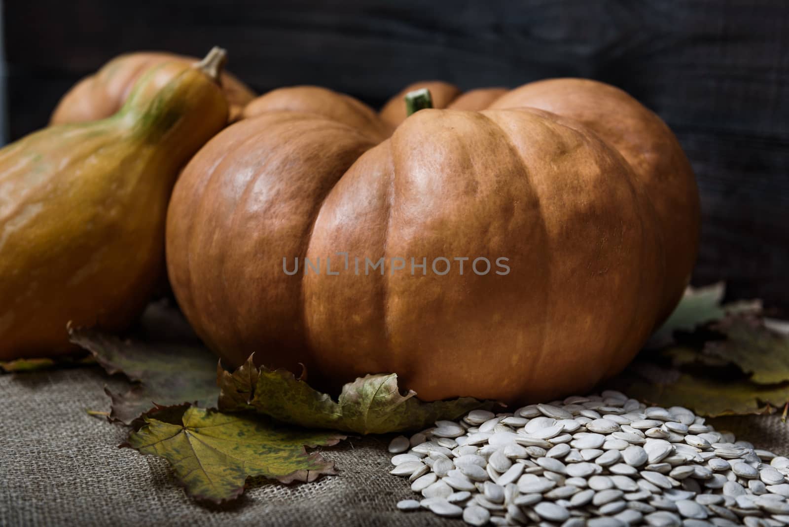 pumpkins lying on a wooden table by Andreua