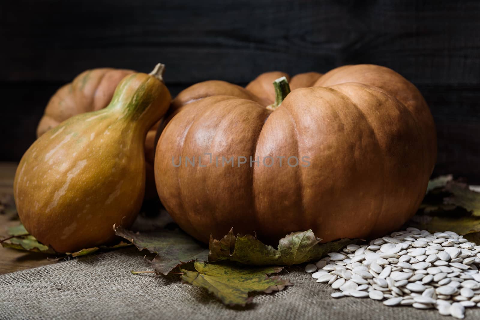 pumpkins lying on a wooden table with viburnum and seeds
