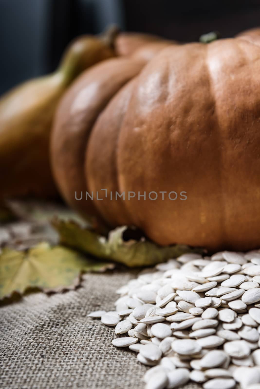 pumpkins lying on a wooden table with viburnum and seeds