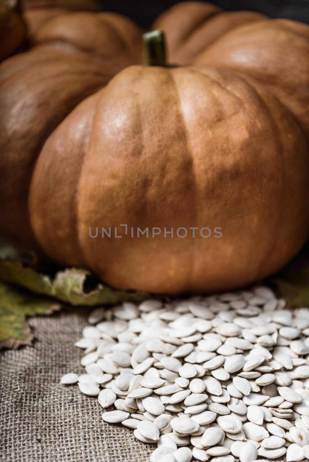 pumpkins lying on a wooden table by Andreua