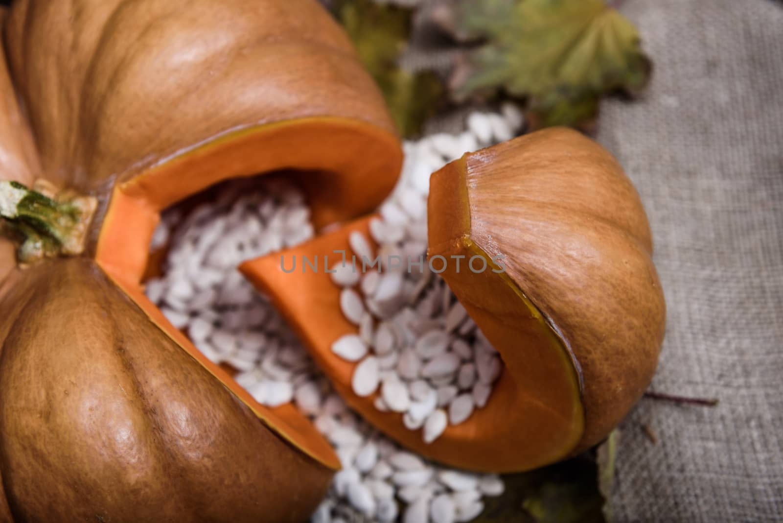 pumpkin lying on a wooden table by Andreua