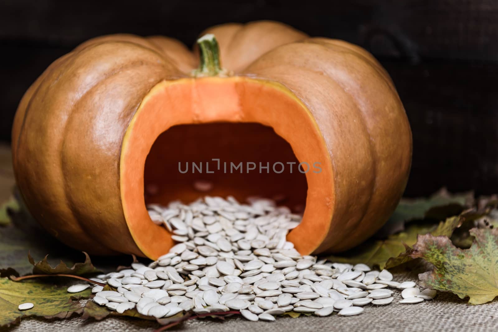 pumpkin lying on a wooden table with viburnum and seeds