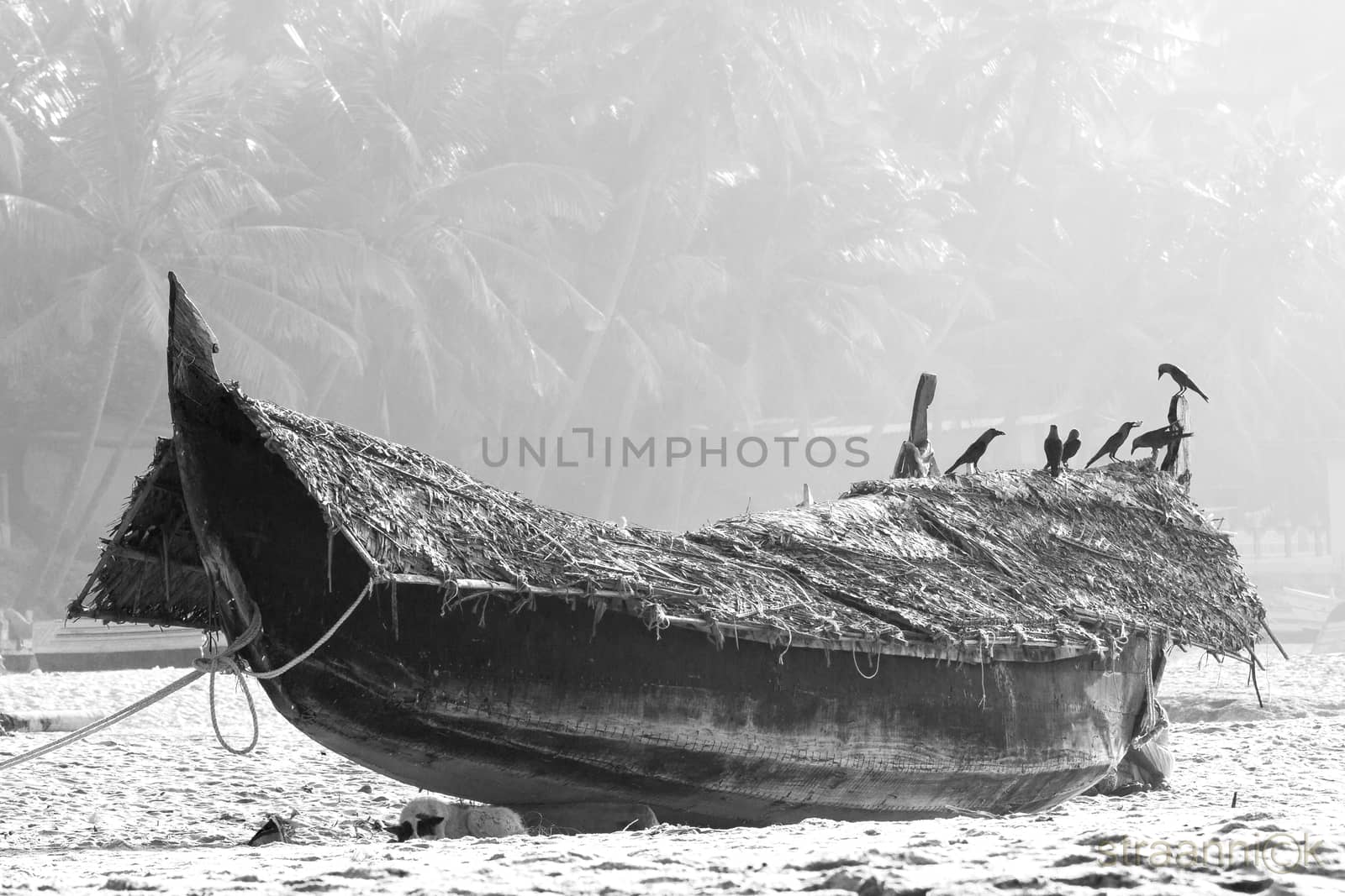 Fishing boat on the beach against jungle background. Black and white by straannick