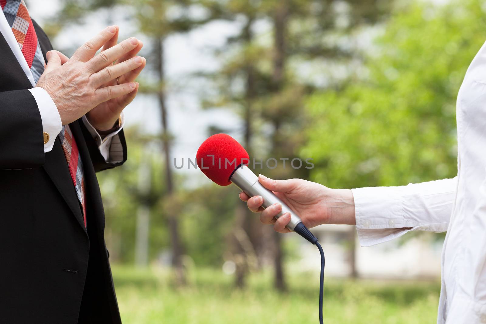 Reporter making interview with businessperson or politician 