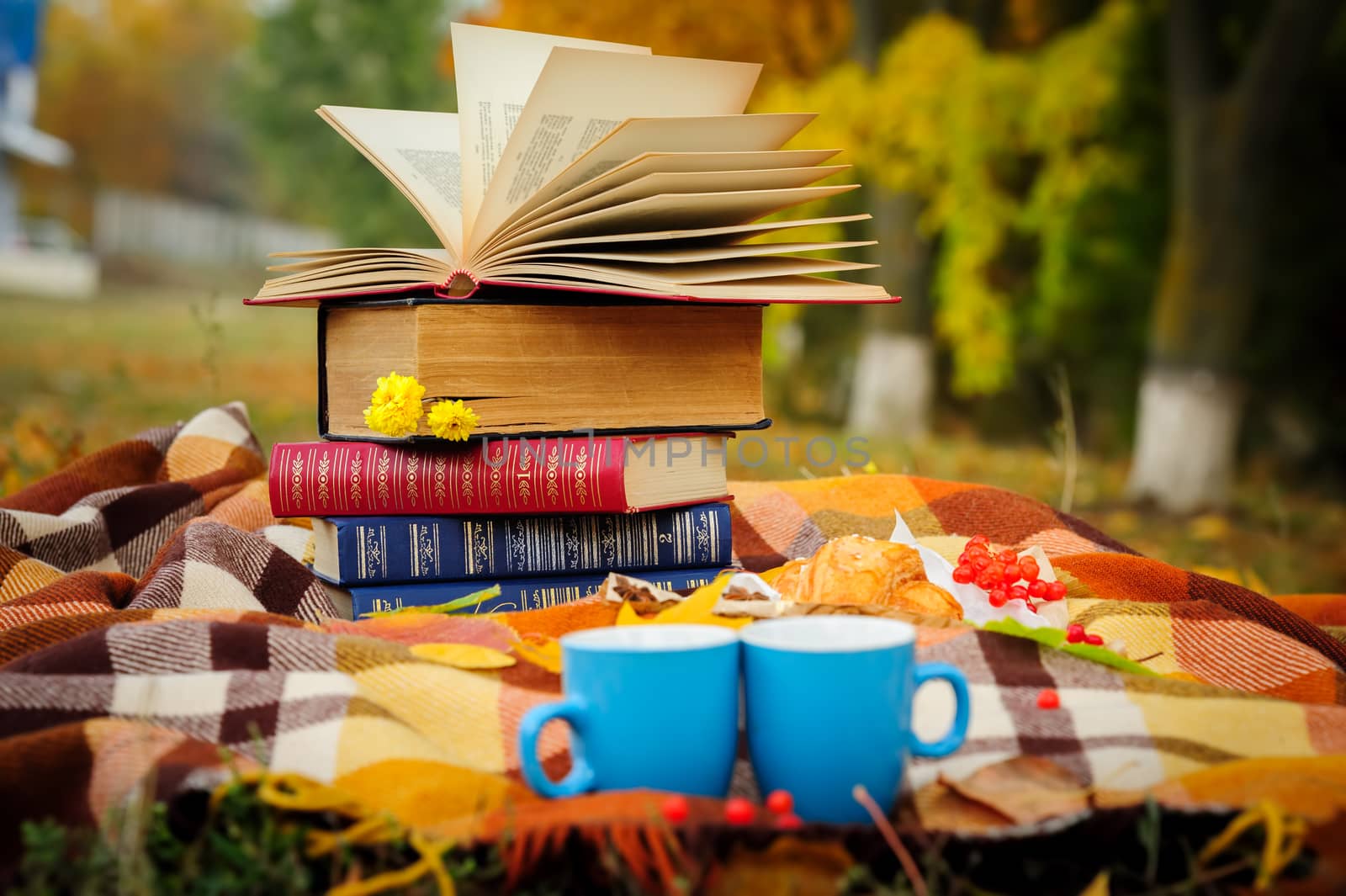 Romantic autumn still life with stacked books, plaid, croissant and leaves