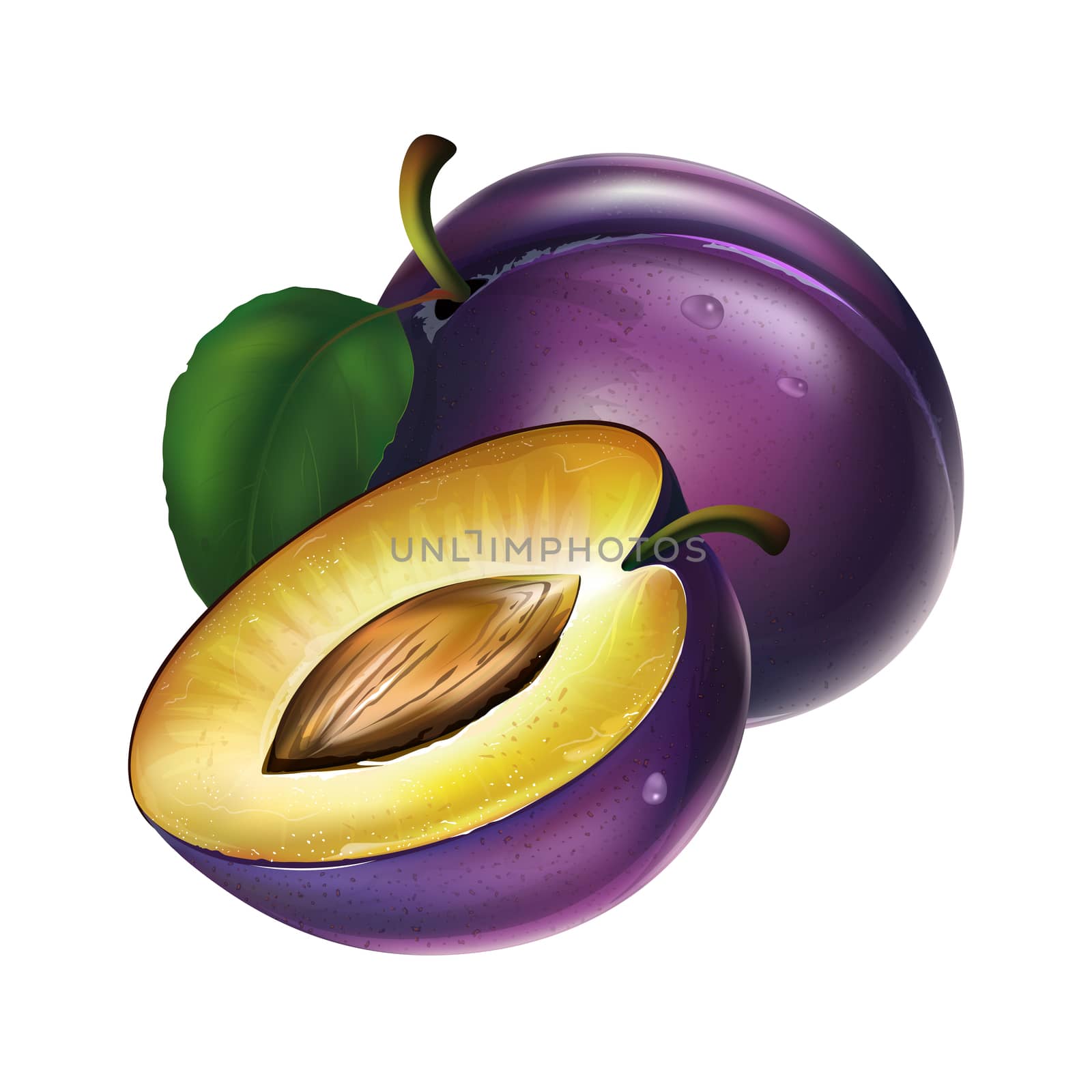 Plum on white background by ConceptCafe