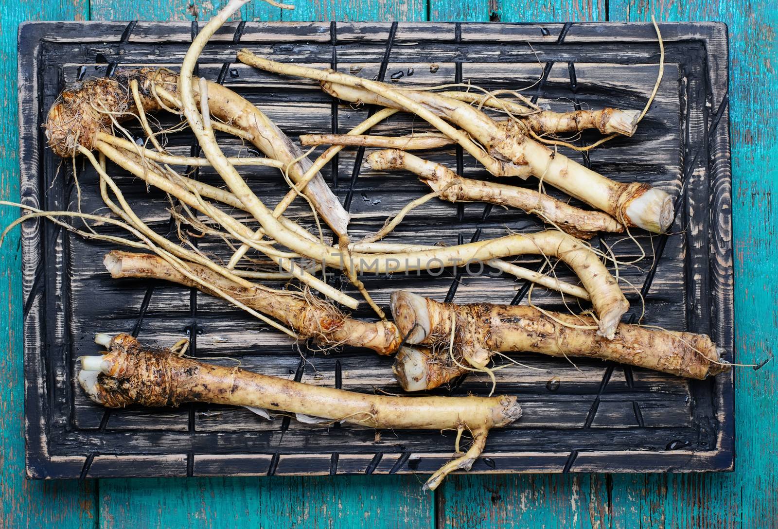 Kitchen plaque with the roots horseradish.View top