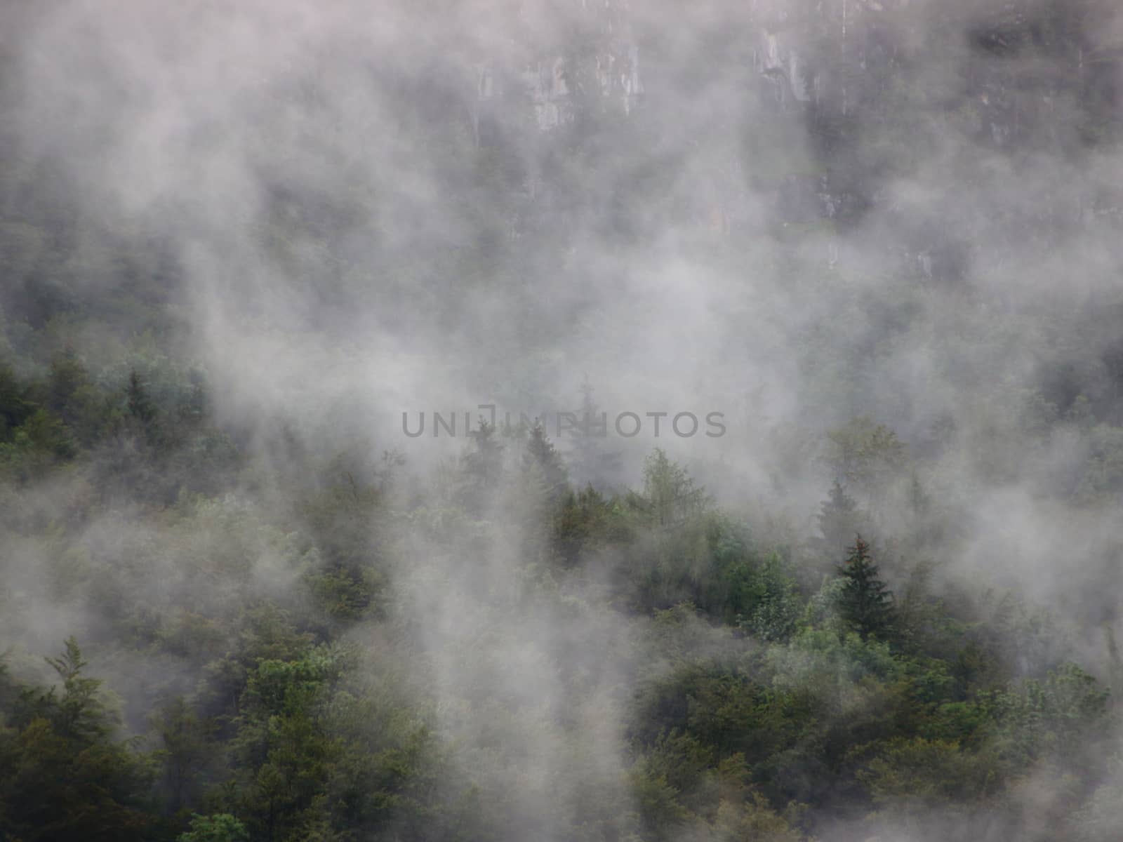 Thick Forest Fog in Austrian Mountain Cliff Overhang after Cool Rainfall