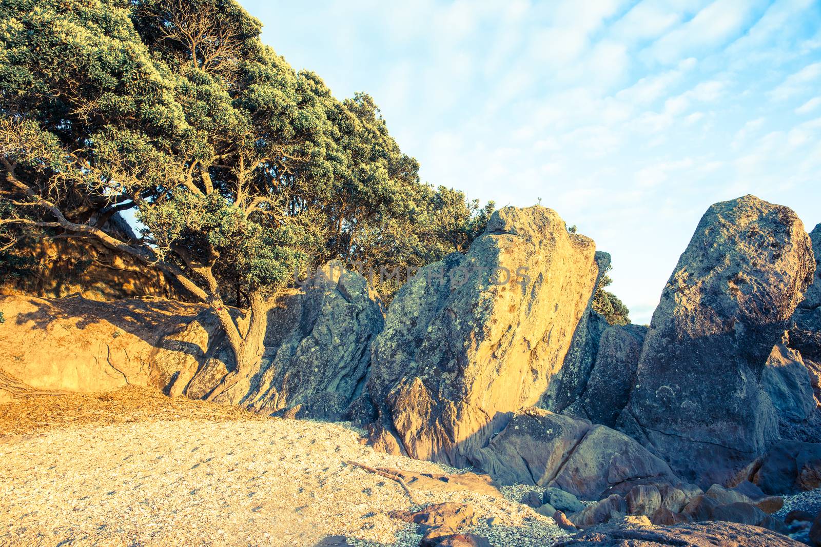 Retro filter large sentinel like standing rocks  and pohutukawa tree shelly beach at base of Mount Maunganui