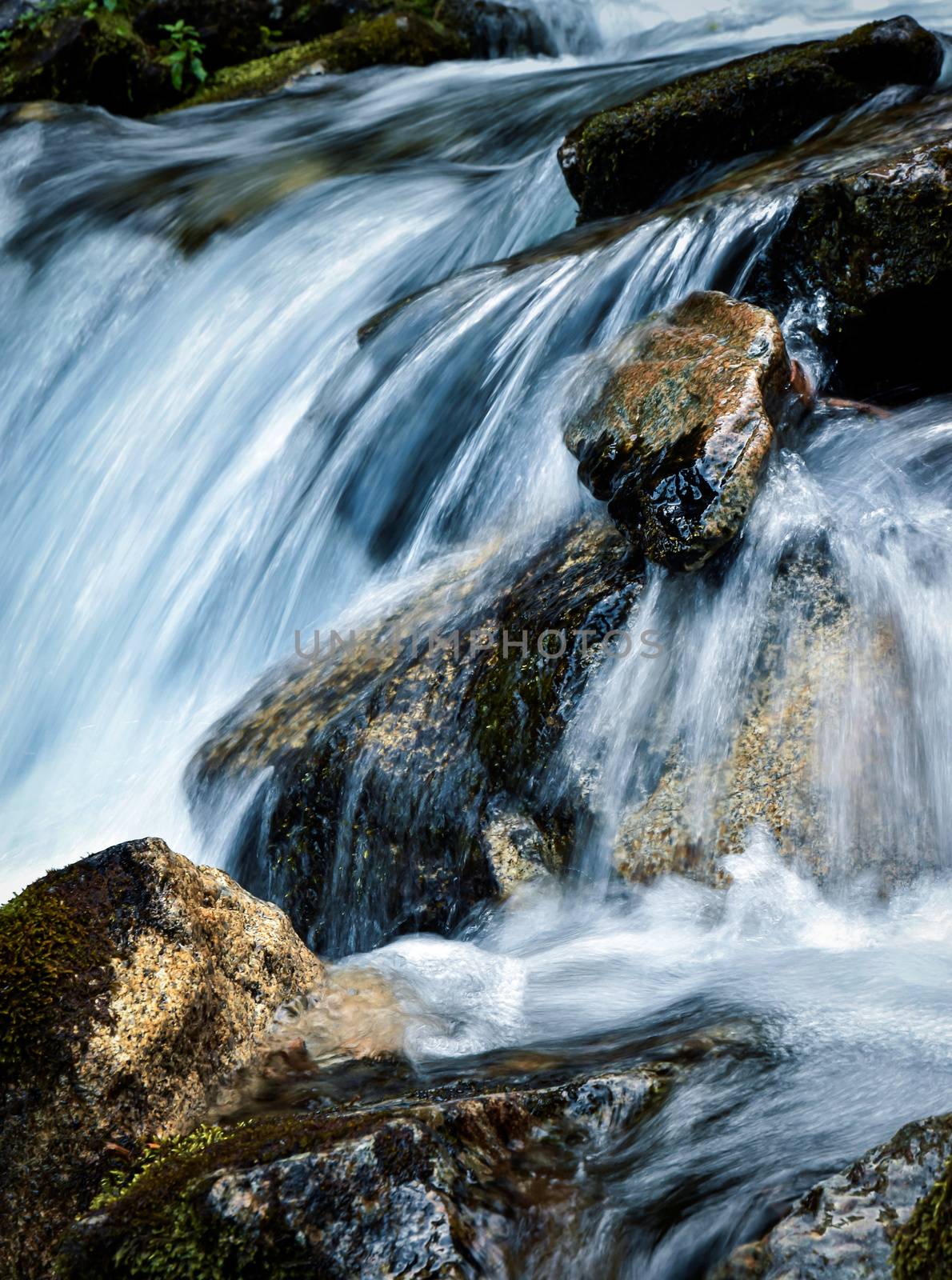 detail wild mountain stream by Ahojdoma