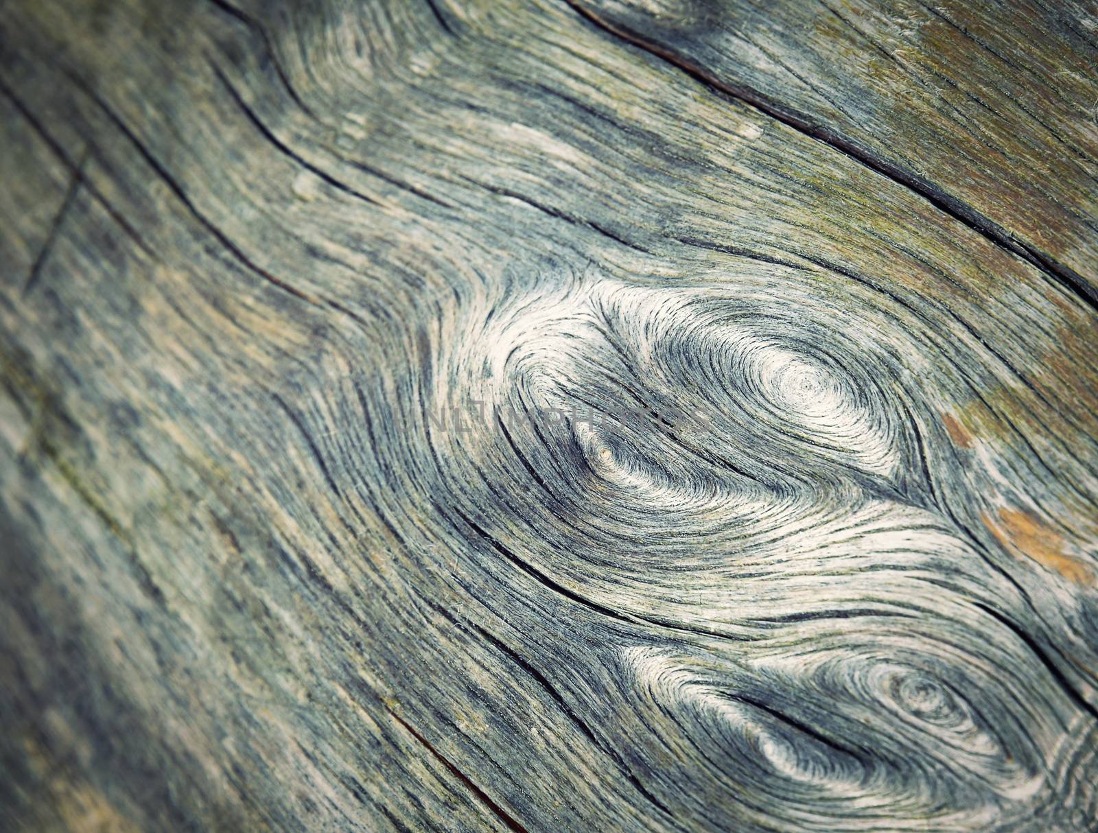 an old piece of wood with an abstract pattern