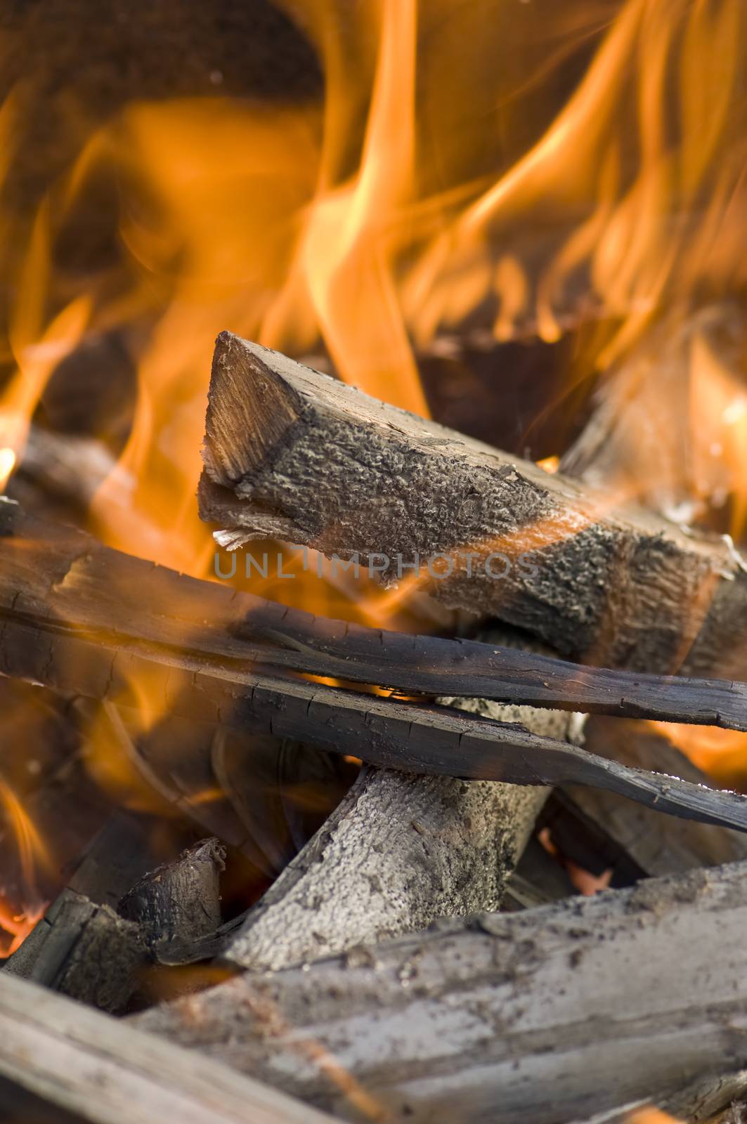 Wood fire by COPhotography
