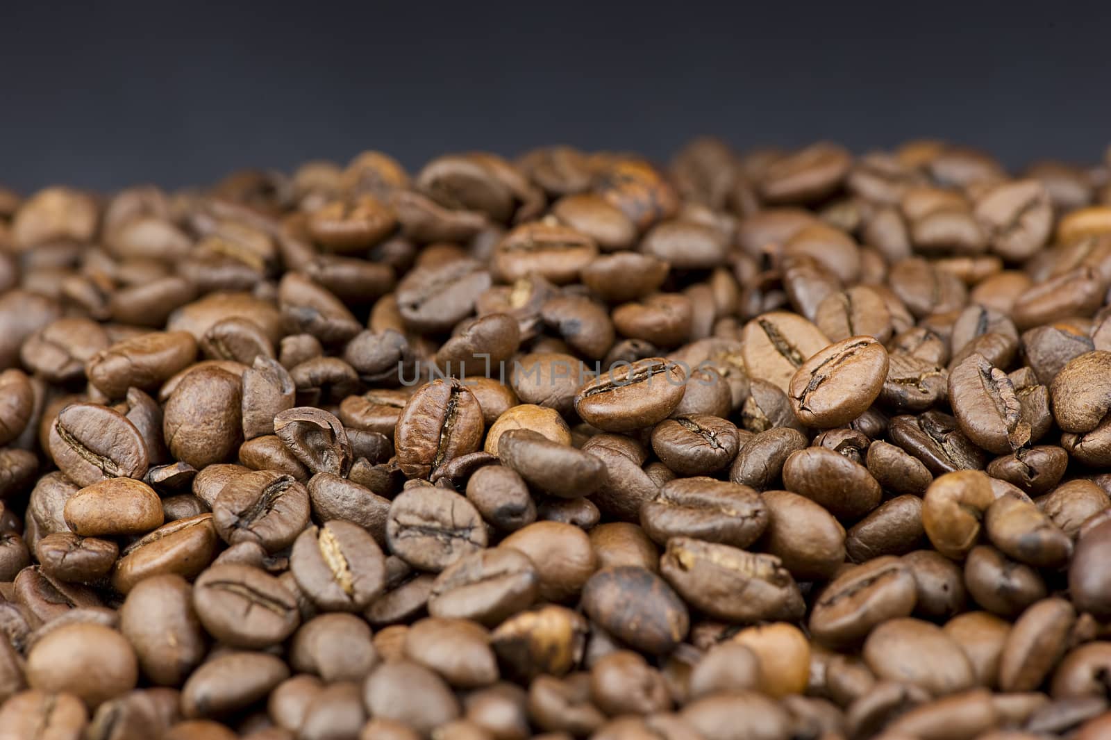 Coffee beans close-up on black background