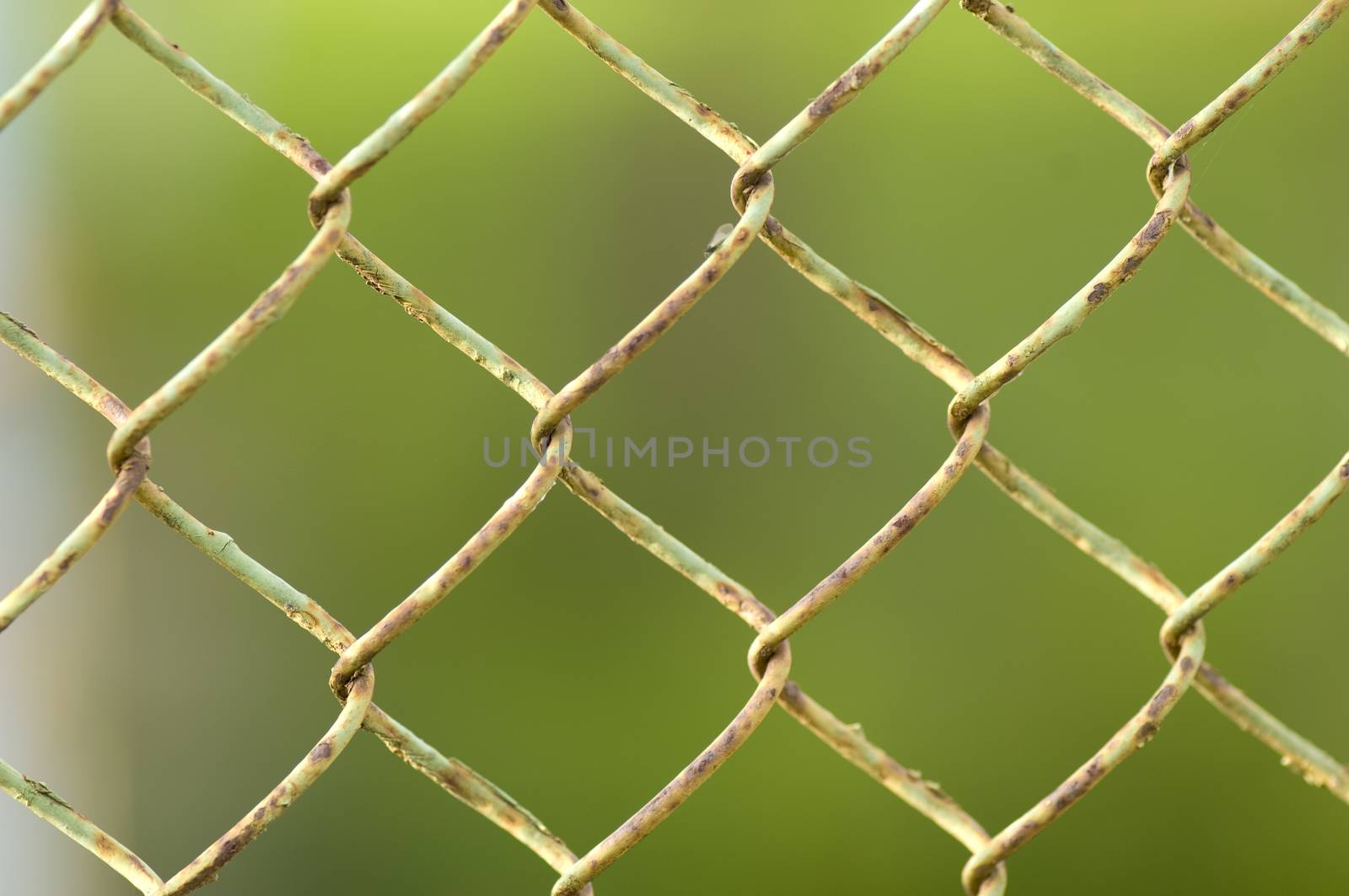 Rusty chain linked fence