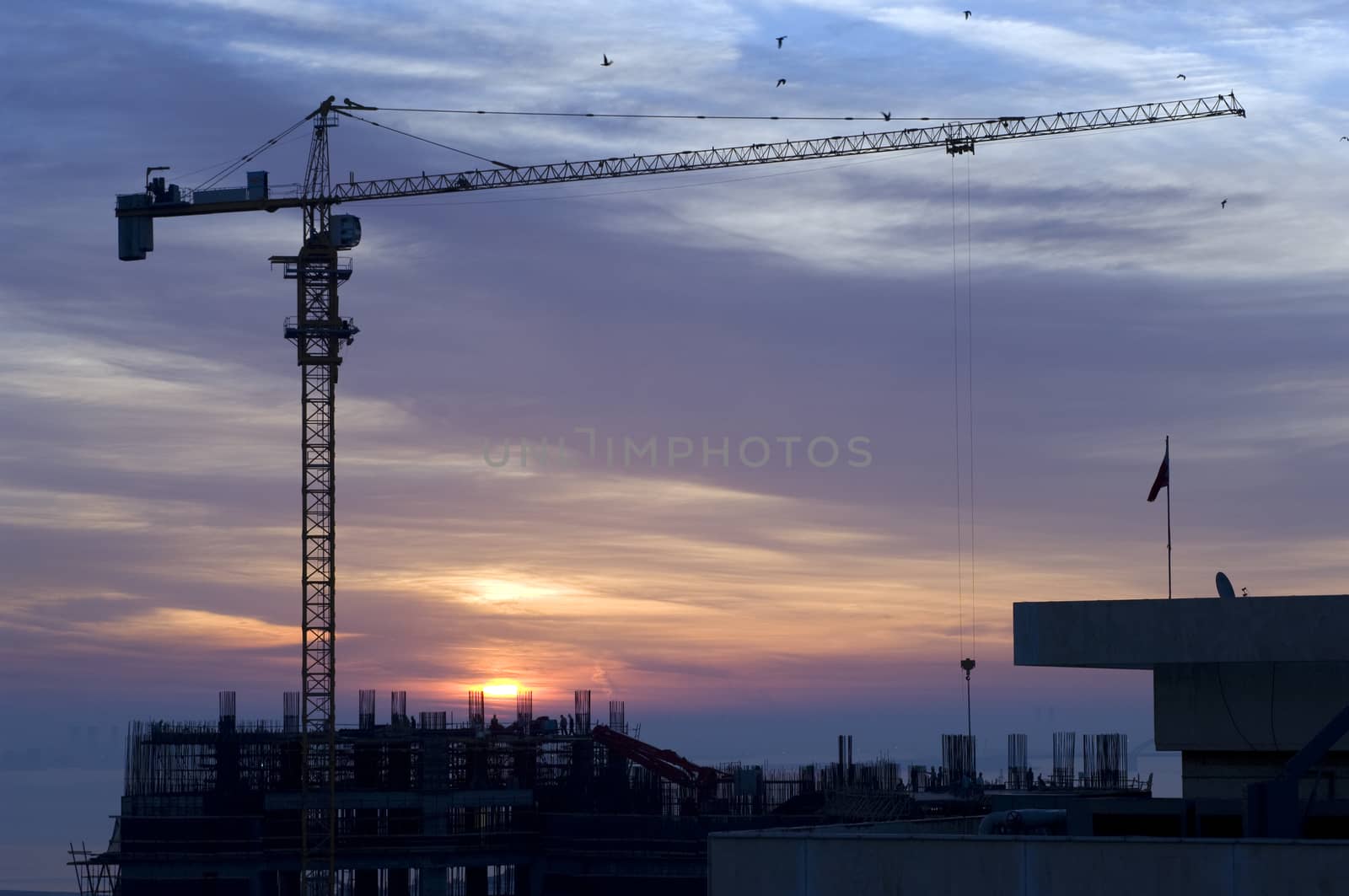 Crane at sunrise by COPhotography