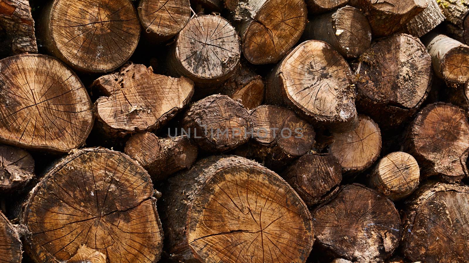 Dry firewood in a pile for furnace kindling by sarymsakov