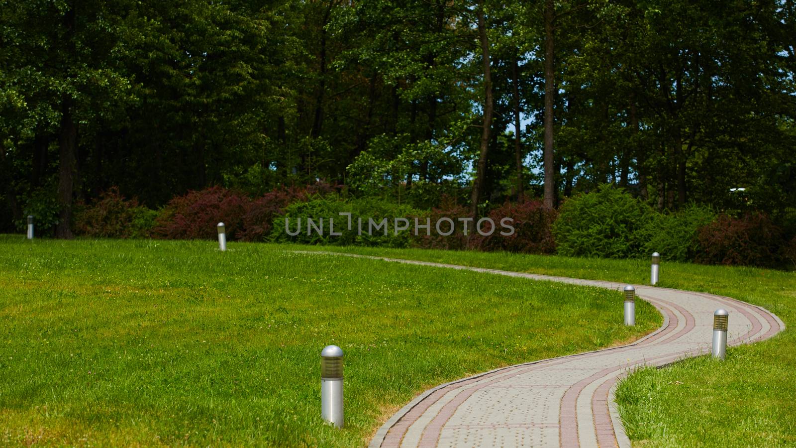 The stone Pathway in the Green Park.