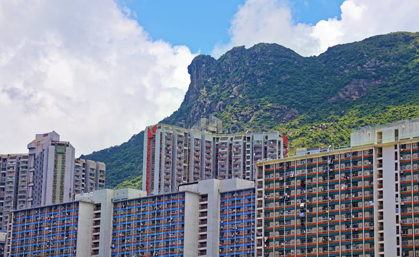 hong kong public estate with landmark lion rock at day