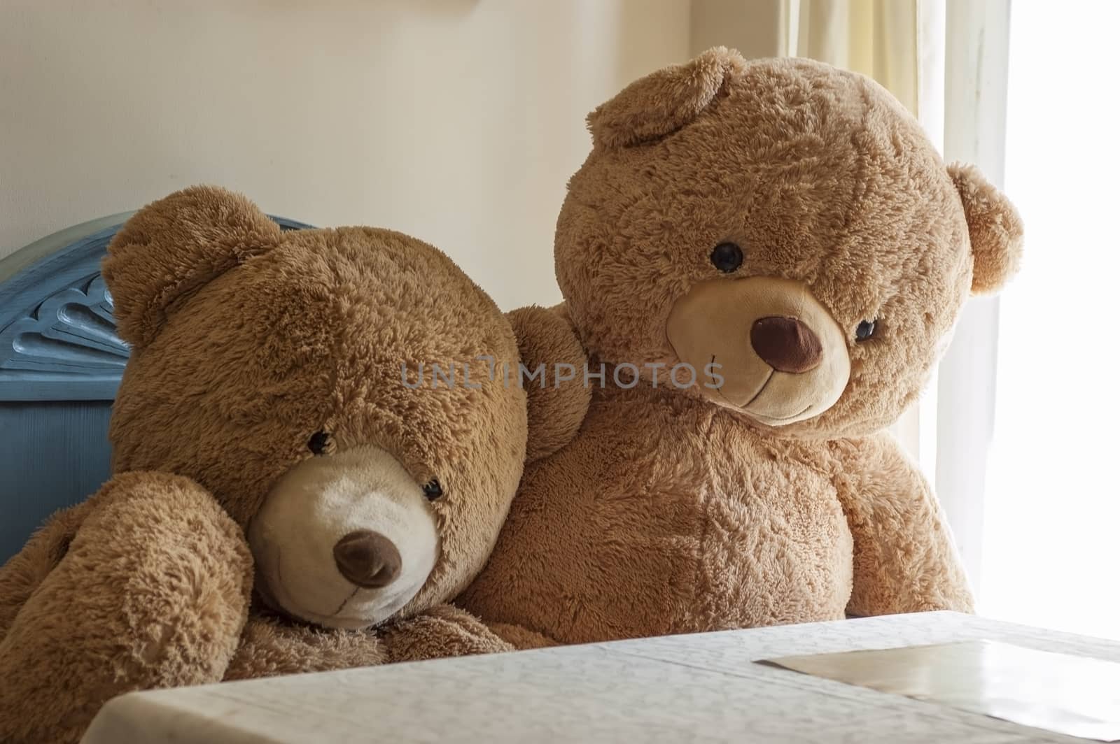 two teddy bears by the table